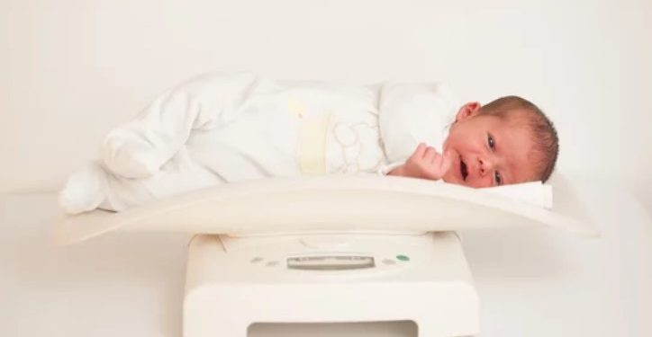 Berat Badan Ideal Bayi Baru Lahir Sampai 12 Bulan